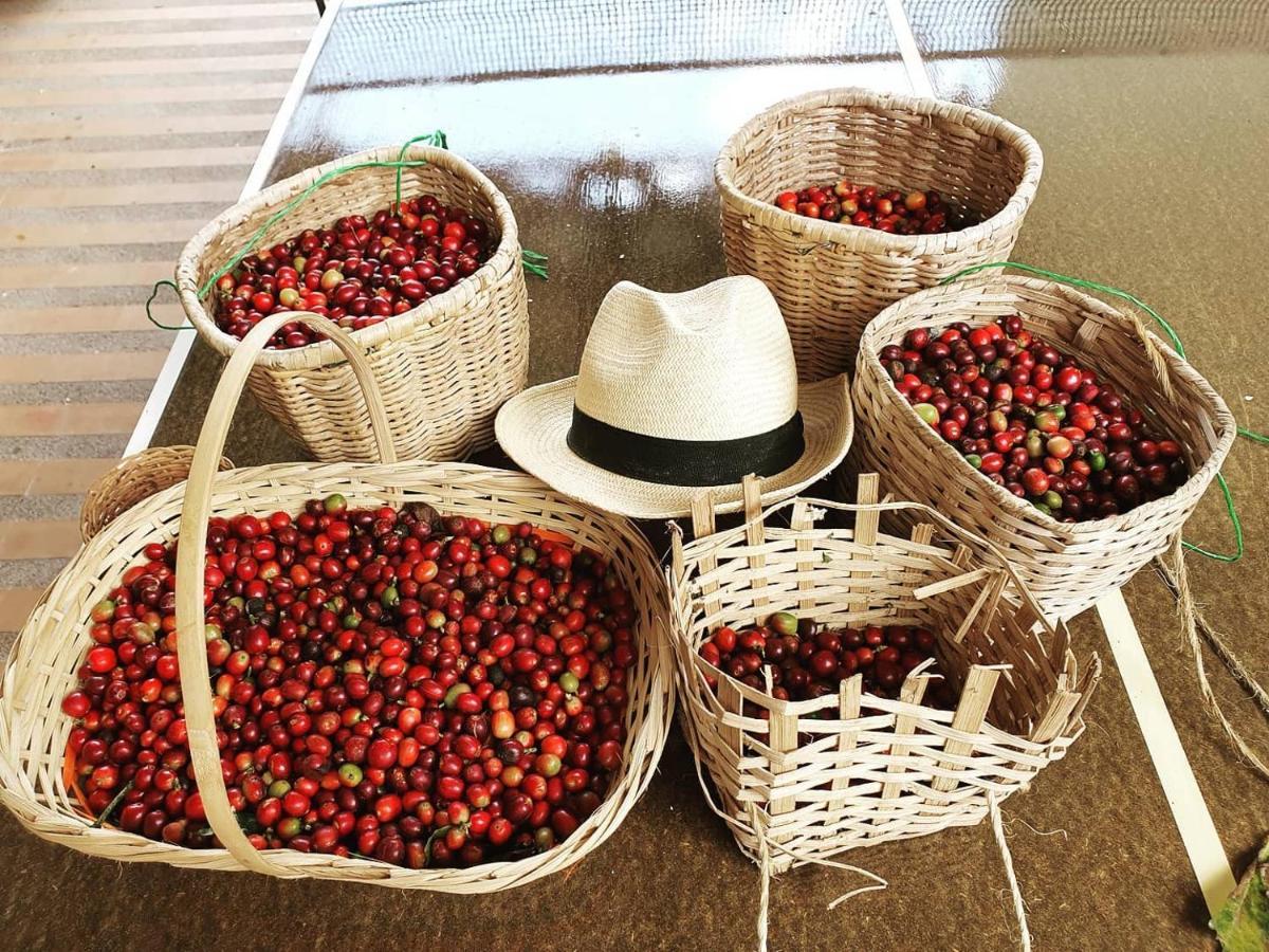 Finca Hotel La Quinta Porra Armenia  Ngoại thất bức ảnh