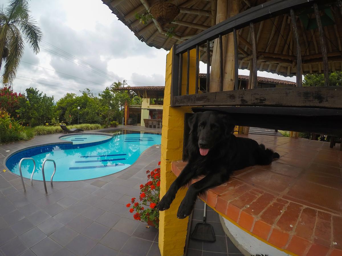 Finca Hotel La Quinta Porra Armenia  Ngoại thất bức ảnh